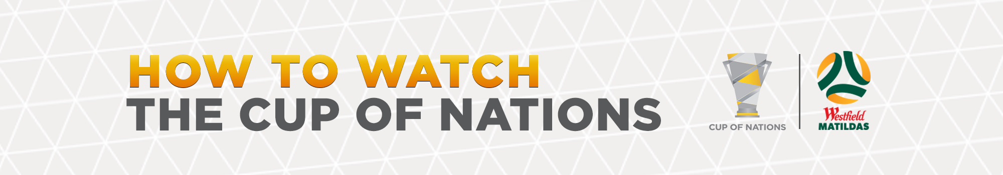 HowtoWatchCupofNations Banner